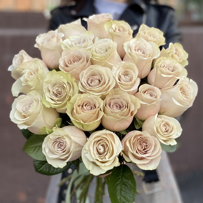 Роза Экспожер